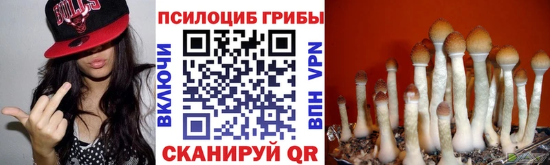 kraken сайт  Крым  Псилоцибиновые грибы GOLDEN TEACHER  где купить наркоту 